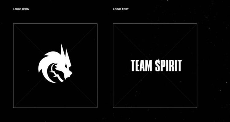 В сети появился возможный состав Team Spirit по League of Legends 