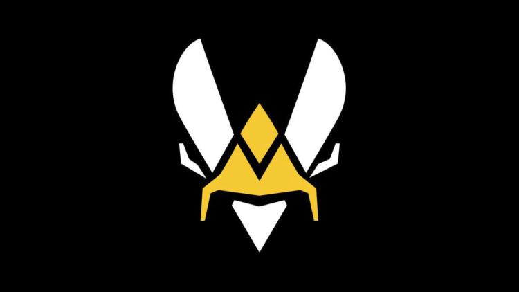 BONECOLD, baddyG и DeepMans войдут в окончательный состав Team Vitality