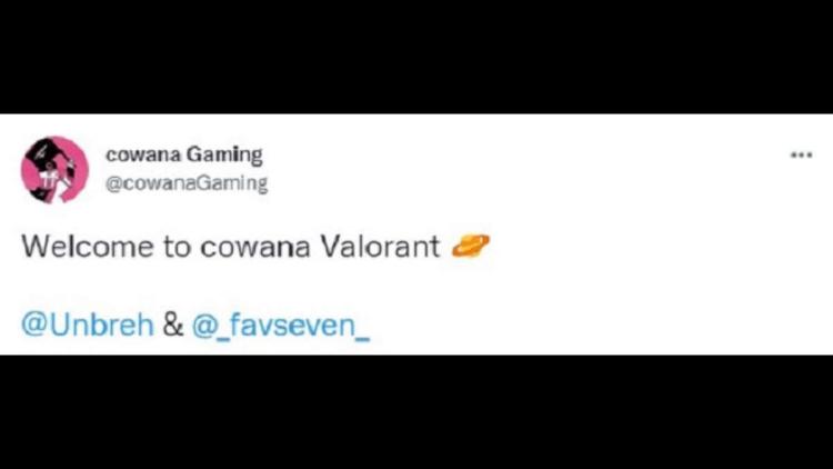 Cowana Gaming подписали двух игроков по Valorant