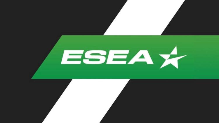 ESEA отстранила тренеров, уличенных в использовании бага с камерой, на два года