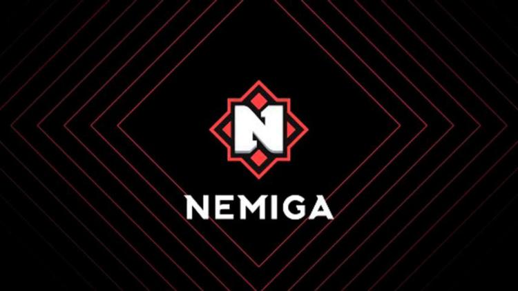 Nemiga Gaming представила новый состав по Dota 2