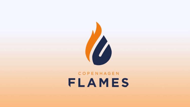 Слух: birdfromsky может стать новым капитаном Copenhagen Flames