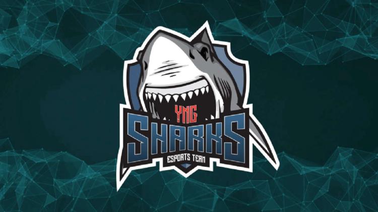 Слухи: rdnzao станет новым игроком Sharks Esports