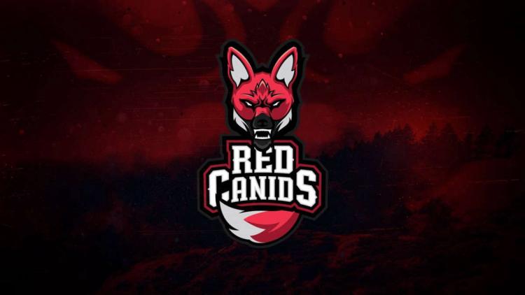 Слухи: RED Canids расстанется с текущим составом, чтобы подписать команду Academicos do Tucuruvi