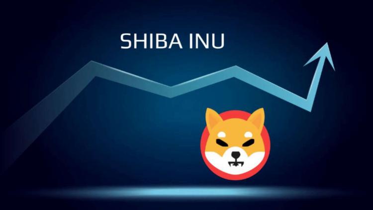 Мемное накопление — киты купили 2,500,000,000,000 Shiba Inu за сутки