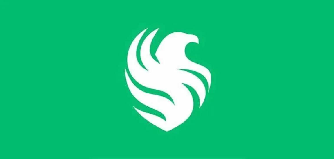 Team Falcons открывает академию CS2 с главным тренером NaToSaphiX