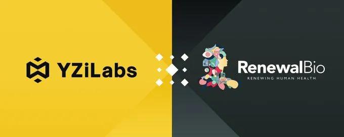 YZi Labs инвестирует в Renewal Bio: Революционный шаг в регенеративной медицине для преодоления дефицита органов