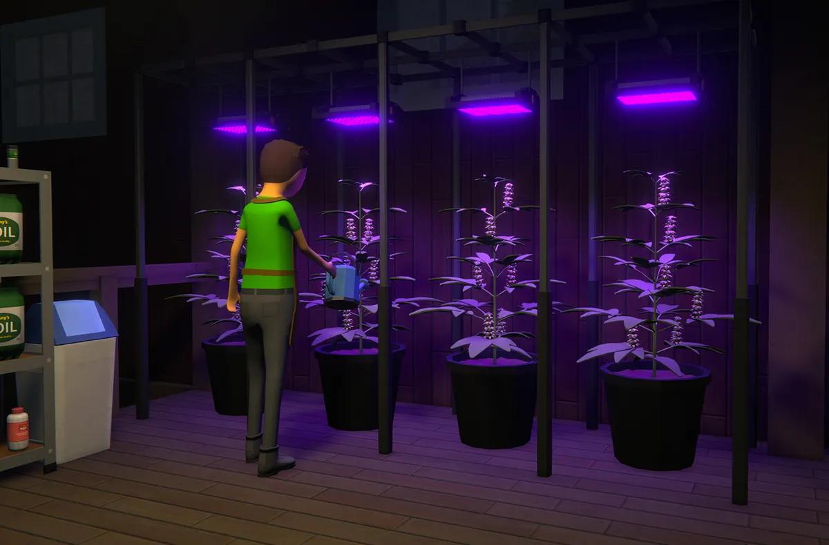 Страхи Steam подтолкнули создателя Schedule 1 к рассмотрению полного перехода на фермерство