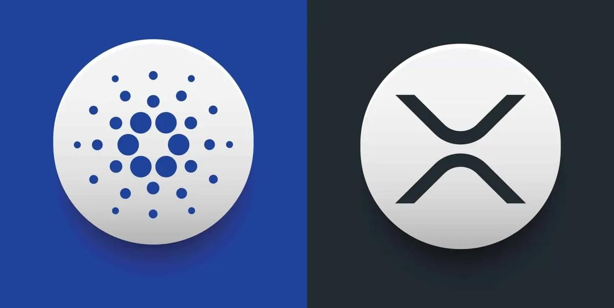 Майк Новограц выступил с резким предупреждением в адрес XRP и Cardano.