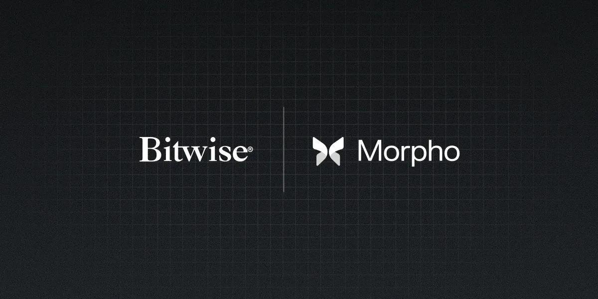 Bitwise запускает внутрицепочечное хранилище в партнерстве с Morpho