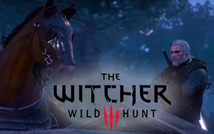 Компания CD Projekt RED анонсировала дополнение к игре The Witcher 3: Wild Hunt, но это не новое DLC.