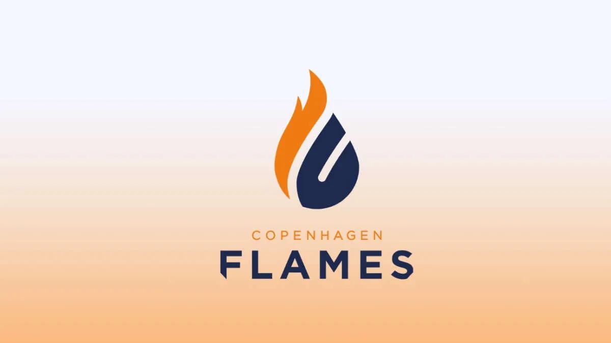 Слух: birdfromsky может стать новым капитаном Copenhagen Flames