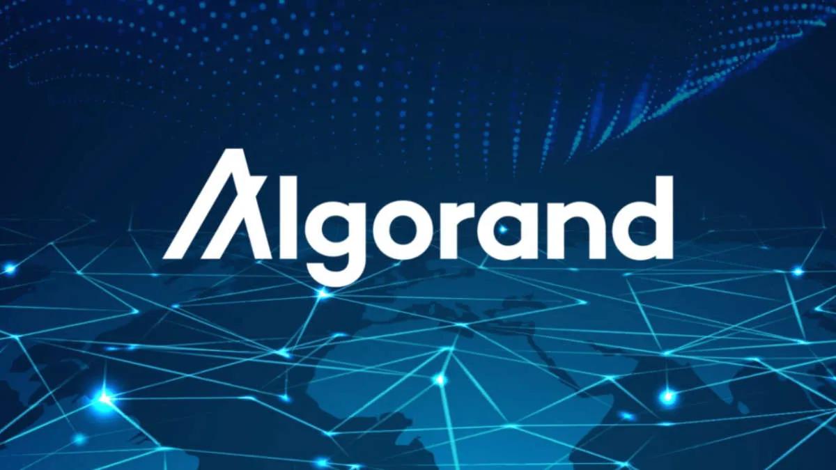 Банк Италии воспользуется блокчейном Algorand для разработки “Цифровых гарантий”