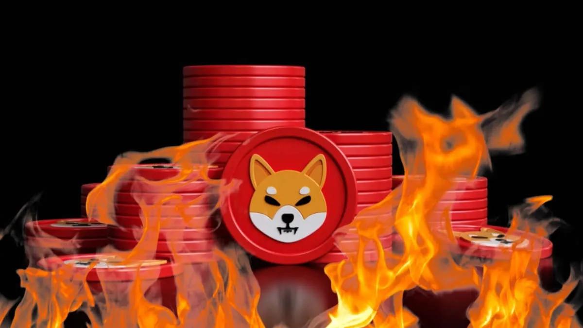 За последние сутки было сожжено более 48,000,000 Shiba Inu
