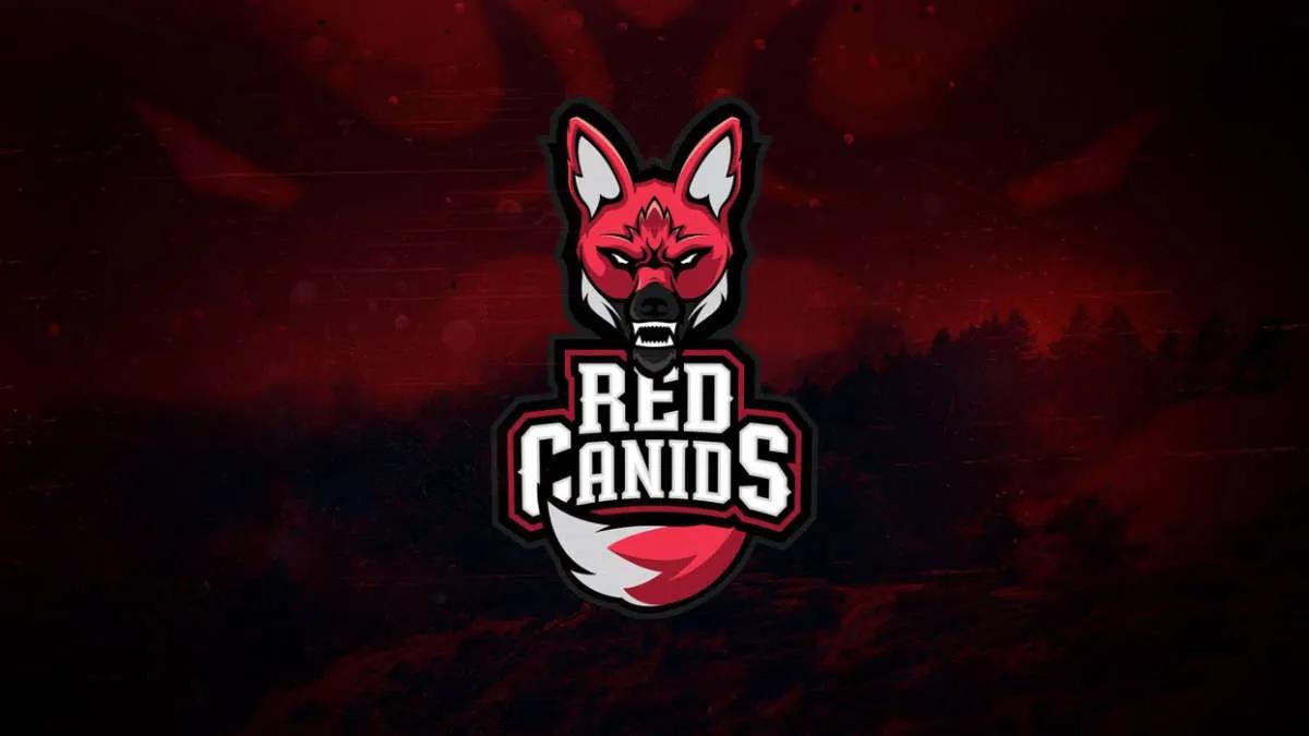 Слухи: RED Canids расстанется с текущим составом, чтобы подписать команду Academicos do Tucuruvi