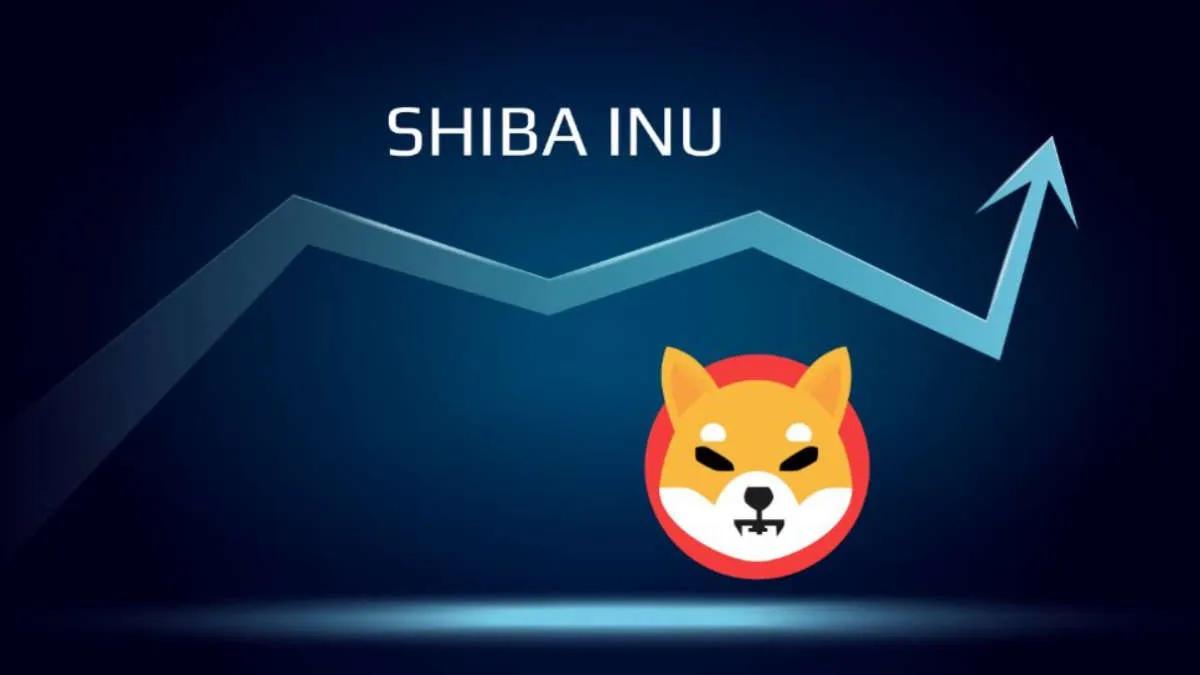 Мемное накопление — киты купили 2,500,000,000,000 Shiba Inu за сутки