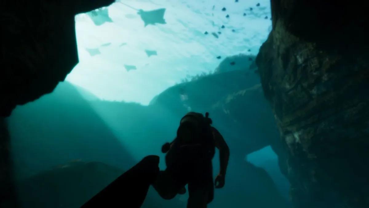 В GTA 6 может появиться своя версия Miami Seaquarium
