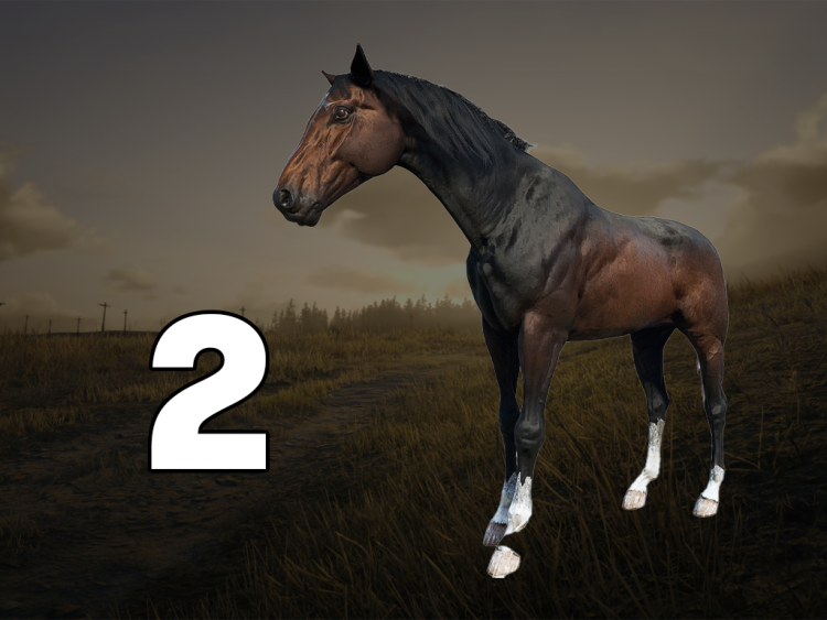 10 лучших лошадей в Red Dead Redemption 2, рейтинг производительности 9