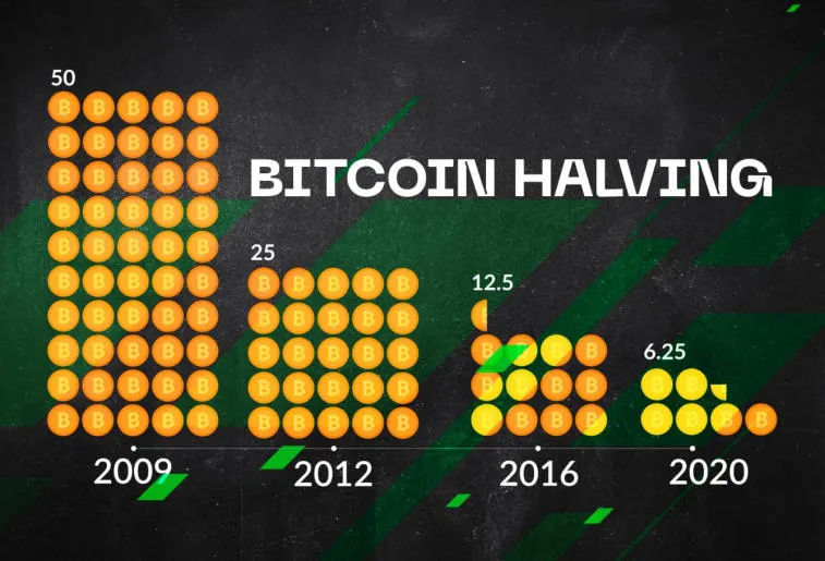 Создатель модели Stock To Flow считает, что BTC дойдёт до $100,000. Фото 1