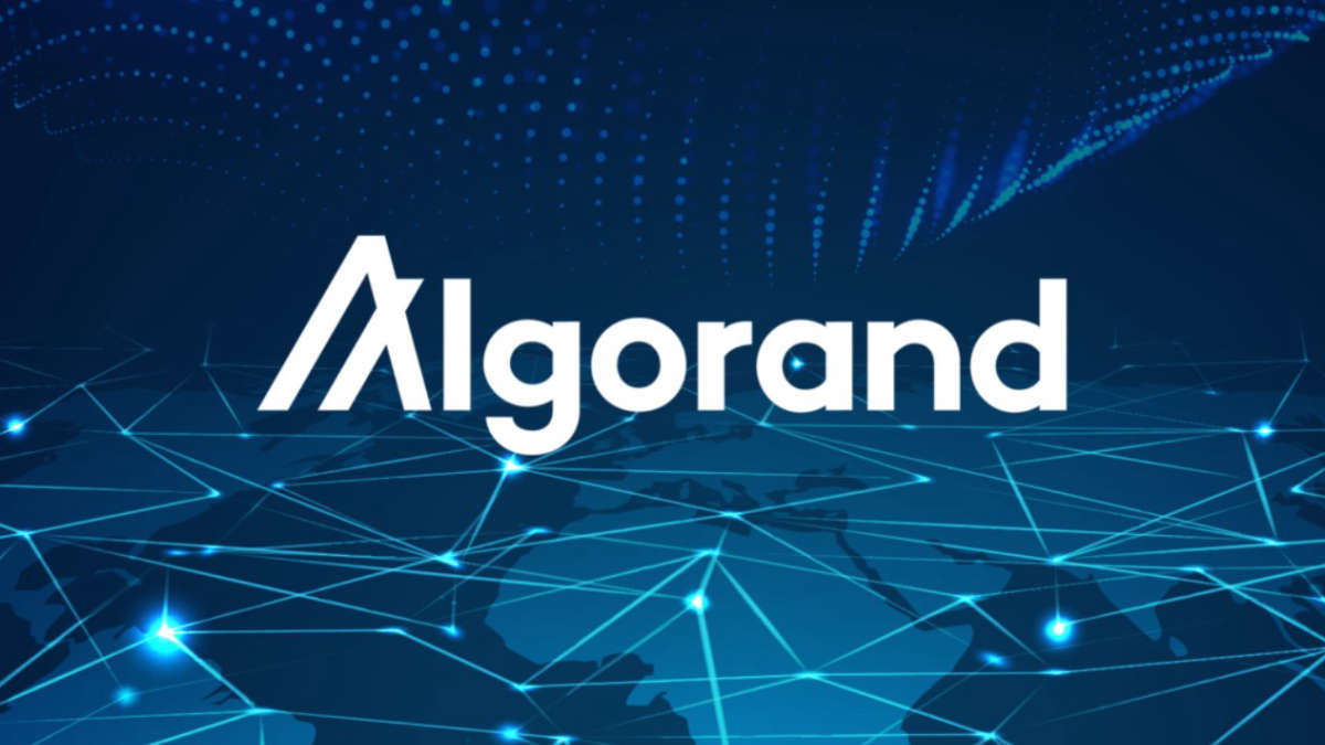 Банк Италии воспользуется блокчейном Algorand для разработки “Цифровых гарантий”